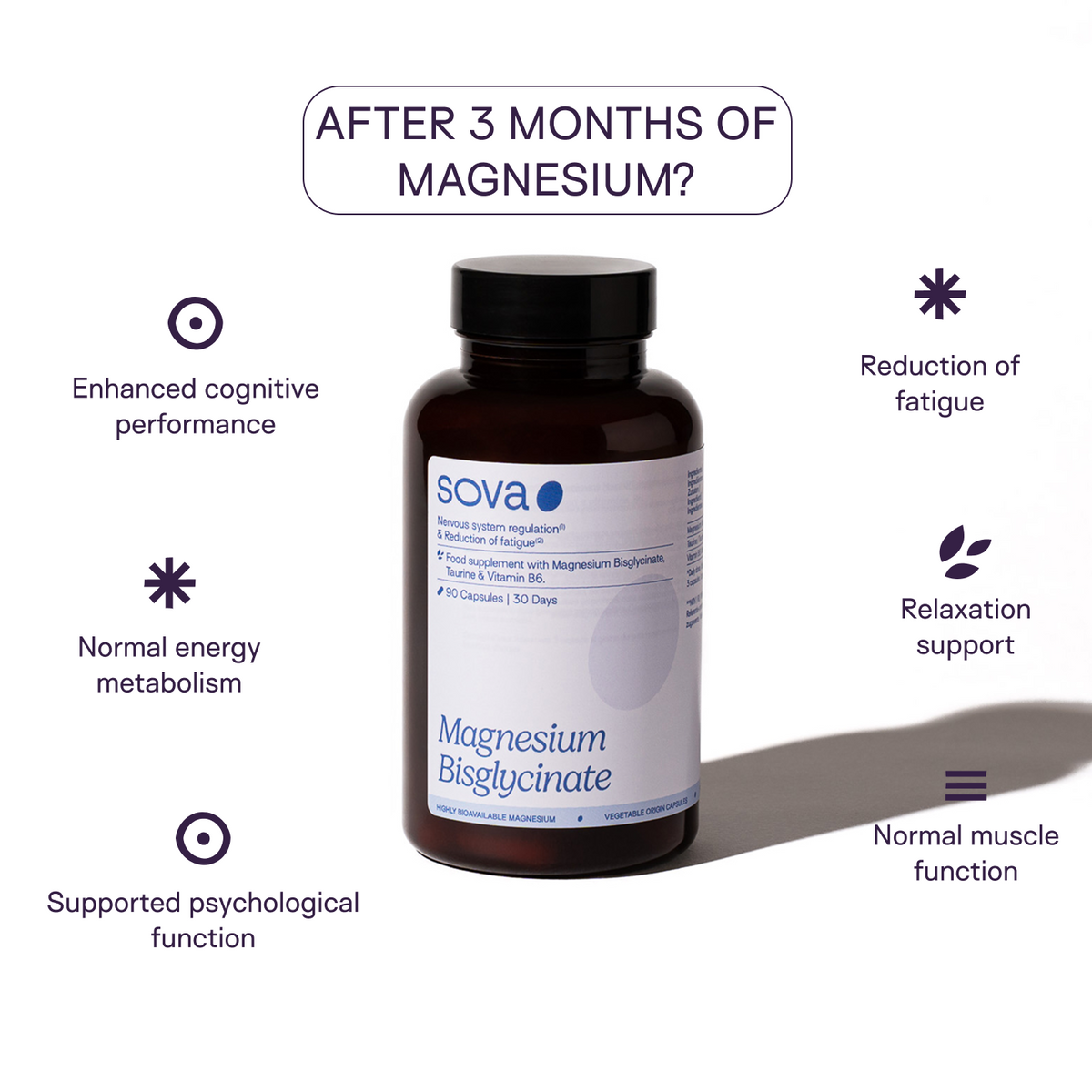 Magnesium – Highly Bioavailable